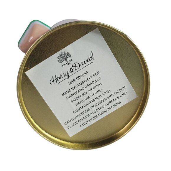 Harry & David Green Elf Tin 9.5" Christmas Gift Candy Cookie Container TIN ONLY - Picture 9 of 10